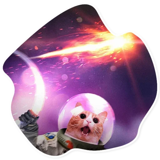 Telegram Sticker «Space Cats» 😂