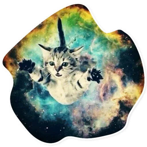 Space Cats sticker ❤