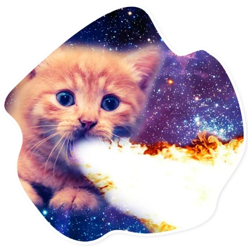 Стикер Telegram «Space Cats» 🔥
