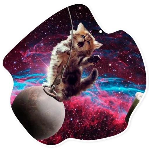 Telegram Sticker «Space Cats» 🤠