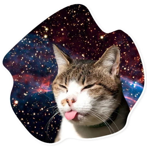 Telegram Sticker «Space Cats» 😛