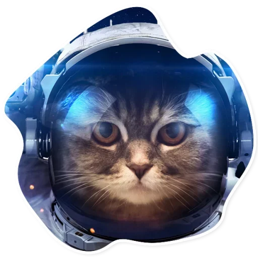 Telegram Sticker «Space Cats» 🌚