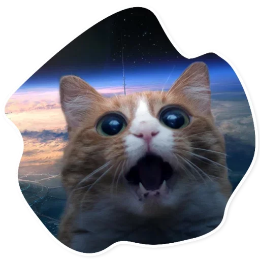 Telegram Sticker «Space Cats» 😱