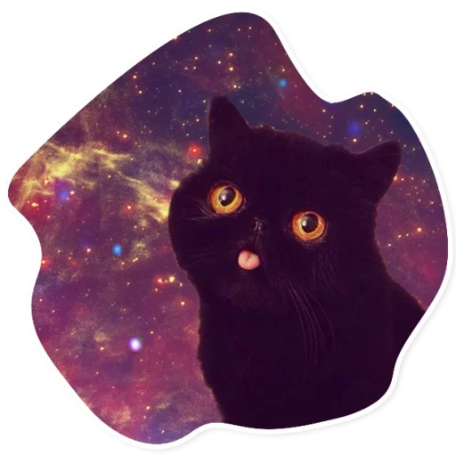 Telegram Sticker «Space Cats» 🌑
