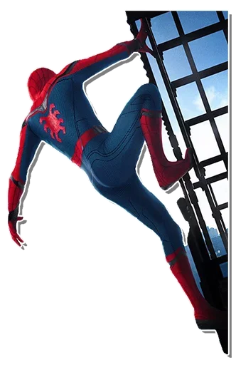 Spiderman Back sticker 😓