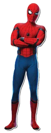 Spiderman Back stiker 😐