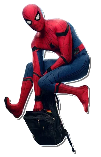 Spiderman Back sticker 🤩