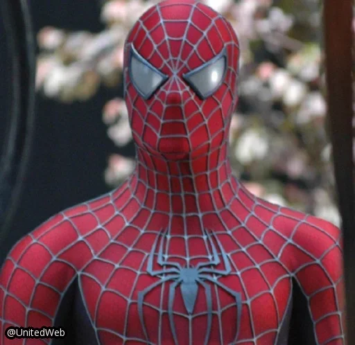 Spiderman Tobey Maguire emoji 🕷
