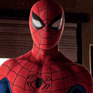 Spiderman Videostickers sticker 🤨