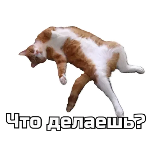 СпутниКот by ЧТП sticker 🙃