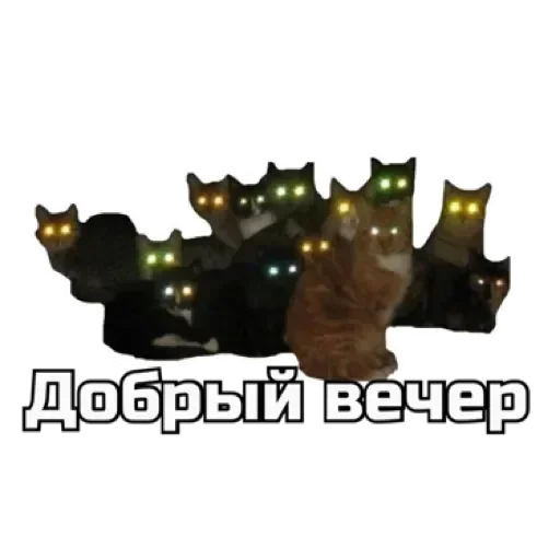 Стикер СпутниКот by ЧТП 🌙