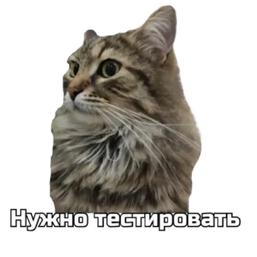 Стікер СпутниКот by ЧТП 😼