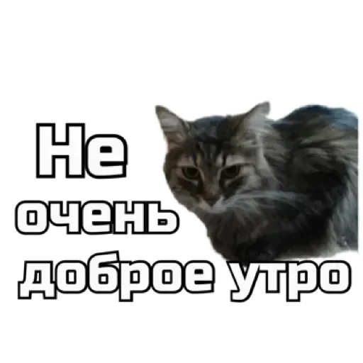 СпутниКот by ЧТП emoji 😵‍💫