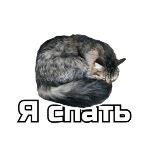 СпутниКот by ЧТП emoji 🛌