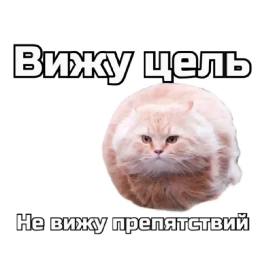 СпутниКот by ЧТП stiker 💨