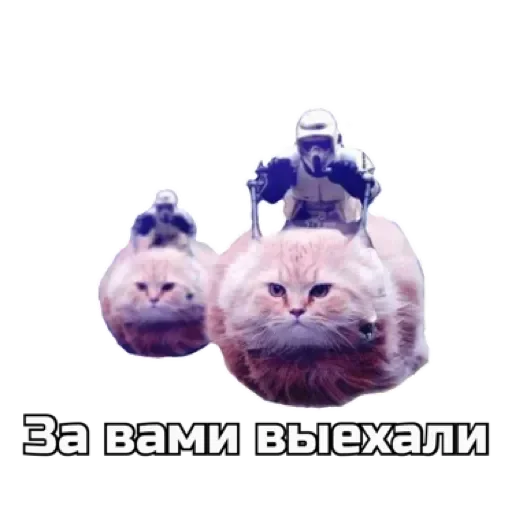 СпутниКот by ЧТП emoji 🚑