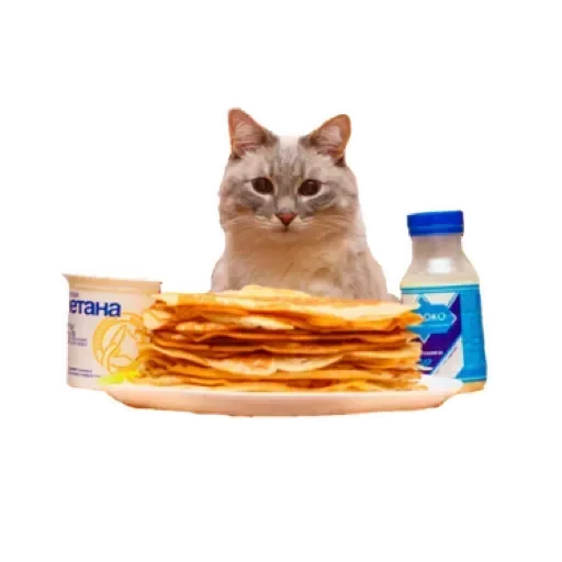 СпутниКот by ЧТП sticker 🥞