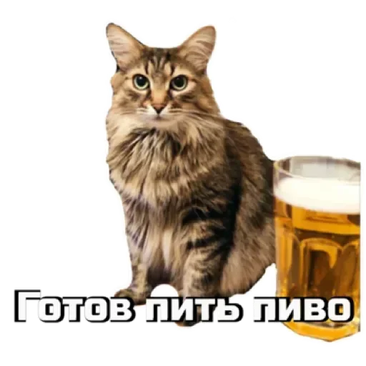 СпутниКот by ЧТП sticker 🍻