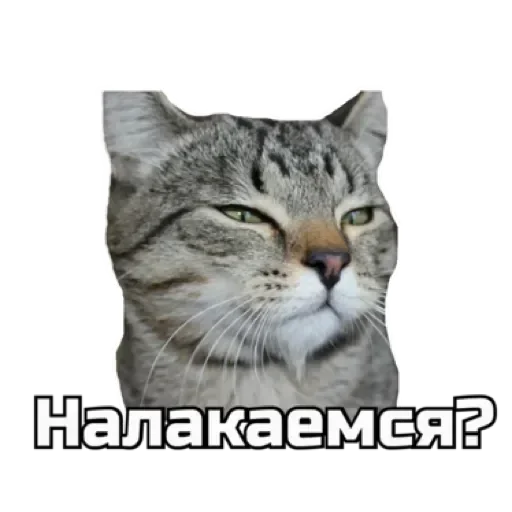 СпутниКот by ЧТП emoji 🍸