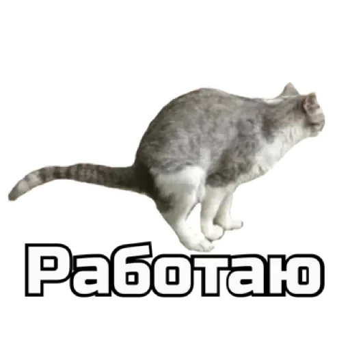 СпутниКот by ЧТП sticker 💩
