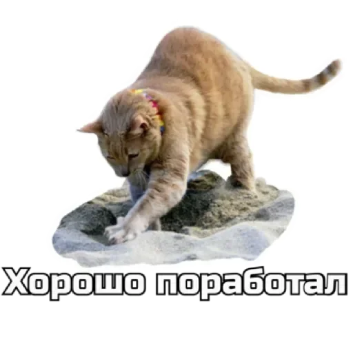 СпутниКот by ЧТП sticker 💩