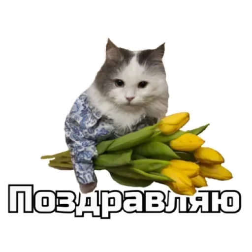 СпутниКот by ЧТП sticker 🎊