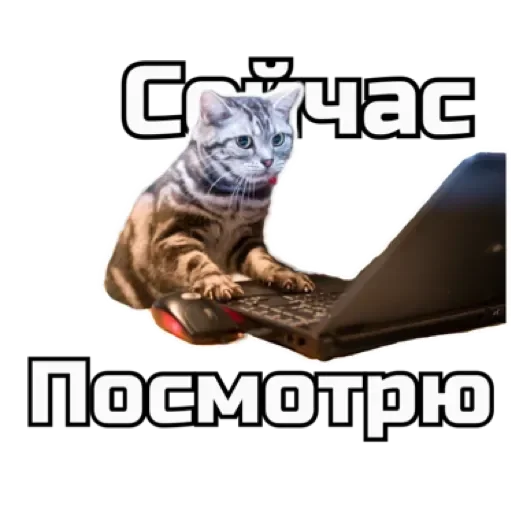 СпутниКот by ЧТП sticker 🕐