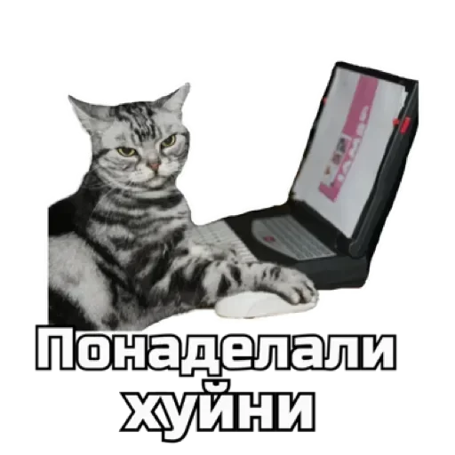 СпутниКот by ЧТП sticker 🤬
