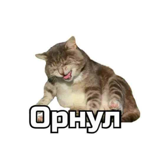 СпутниКот by ЧТП emoji 😹