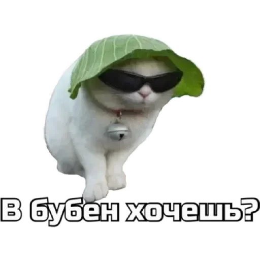 СпутниКот by ЧТП sticker 😎