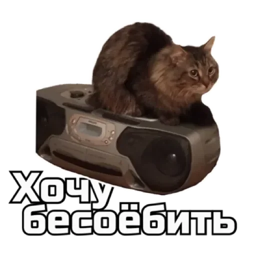 СпутниКот by ЧТП sticker 🫣