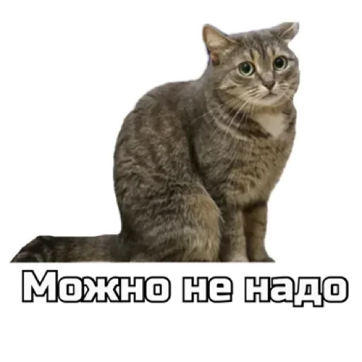 СпутниКот by ЧТП emoji ▶️