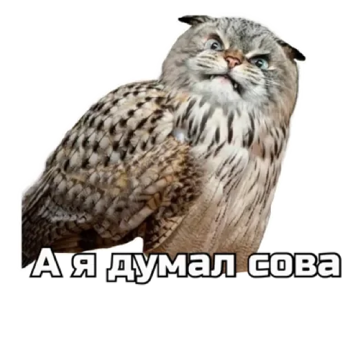 СпутниКот by ЧТП emoji 😐