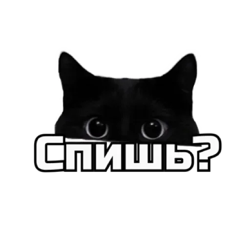 Telegram Sticker «СпутниКот by ЧТП» 😏