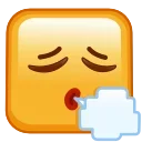 Square Emoji emoji 😮‍💨