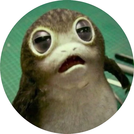 Telegram Sticker «Star Wars Porgs» 