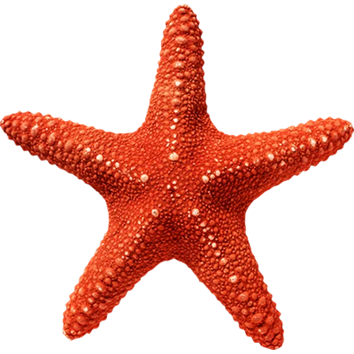 Stars | Звезды emoji ⭐️