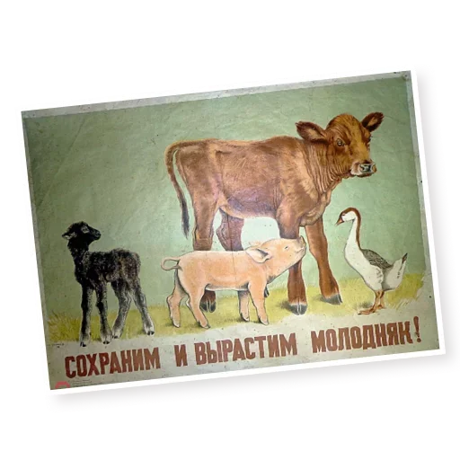 Telegram Sticker «Марки СССР» 👩‍🌾