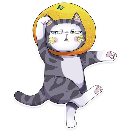 Sweet Cat emoji 🍊