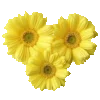Sweet Yellow emoji 🍌