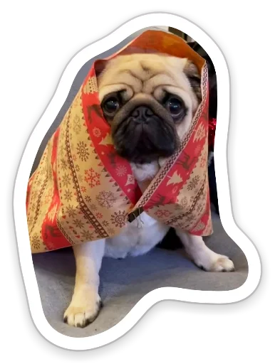 Эмодзи sad_pug_leonid 🎄