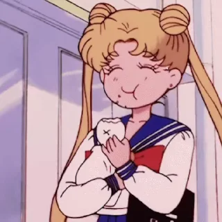 Стікер Sailor Moon 🍩
