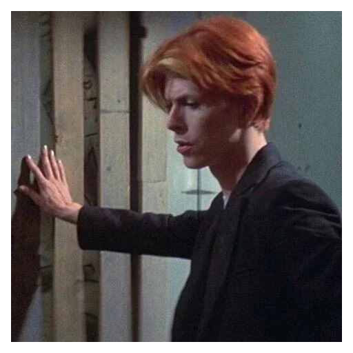 Стікер David Bowie 5 | Дэвид Боуи 🥵
