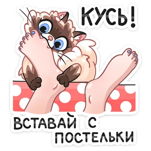 Telegram Sticker «Сиамский Сахарок» 😠