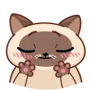 Сиамский кот emoji 😛