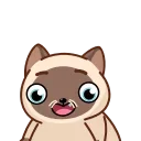 Сиамский кот emoji 🥳