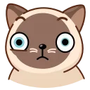 Сиамский кот emoji 😓