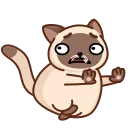Сиамский кот emoji 🏃‍♀
