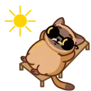 Сиамский кот emoji 😎