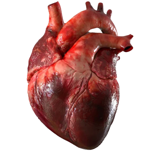 Telegram Sticker «Heartz» ❤️